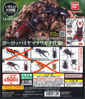 （分類：）位於 。 由 ben-chung 提交（商品編號 1219003457，圖片 1）。簡介： 。