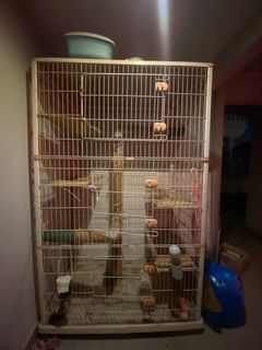 (Category: ) located in . Submitted by thenadcase (Listing ID 1231733251, Image 1). Description: .