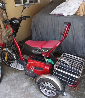 Erv ebike for sale online