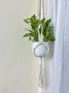 Hanging plant + Macrame hanger