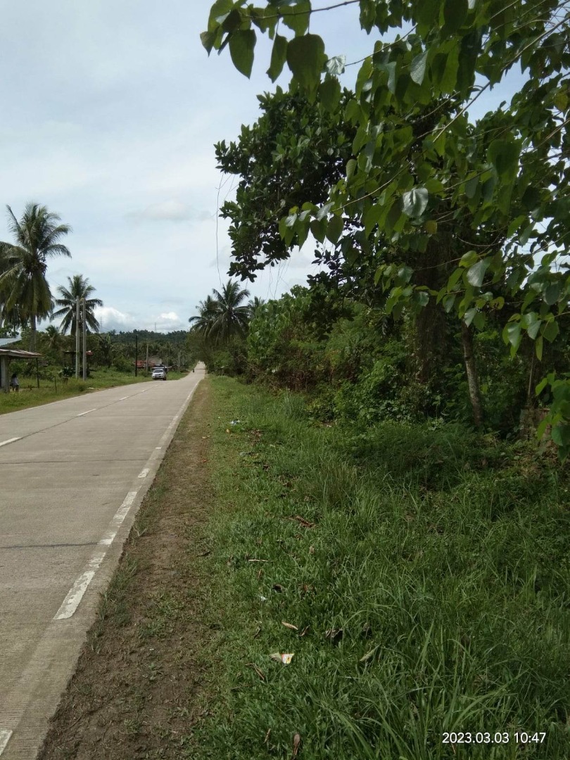 Lot for sale 79,523 clean title Highway Buenavista Carmen Bohol 250/sqm
