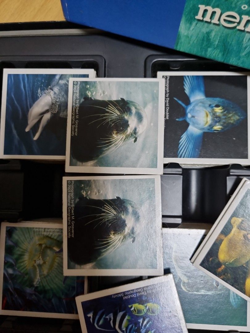 National Geographic (memory game), Hobbies & Toys, Toys & Games on