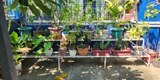 (Category: ) located in . Submitted by yoshiping (Listing ID 1231676482, Image 1). Description: .