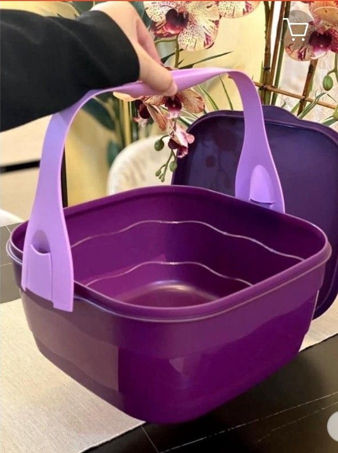 https://media.karousell.com/media/photos/products/2023/5/13/tupperware_square_cake_taker_6_1683946546_4ef61aaa_progressive.jpg