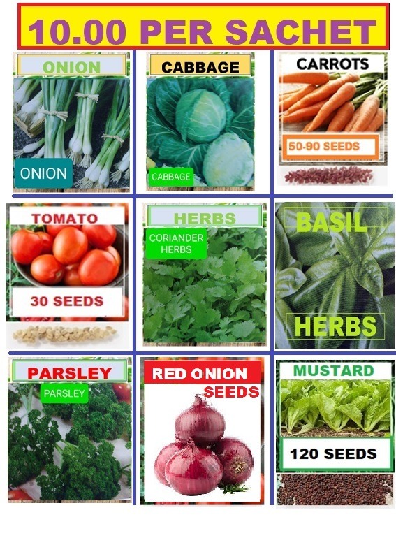 vegetables seeds on Carousell