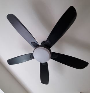 (Category: ) located in . Submitted by yknchell (Listing ID 1231843177, Image 1). Description: .