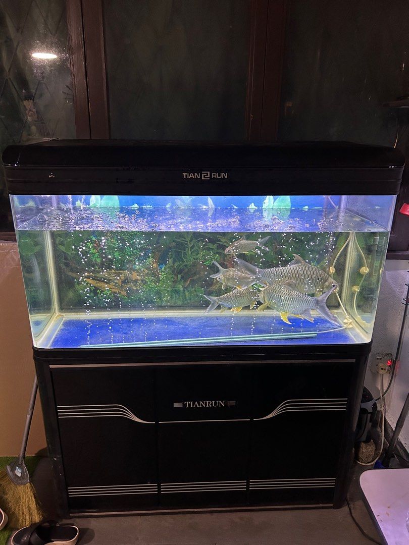 Aquarium imports discount