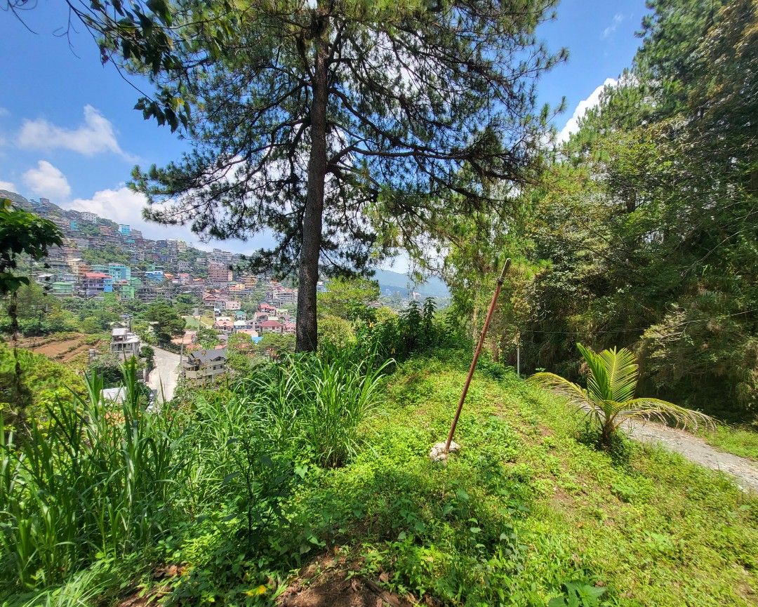 Baguio City Lot with Panoramic View, Property, For Sale, Lot on Carousell
