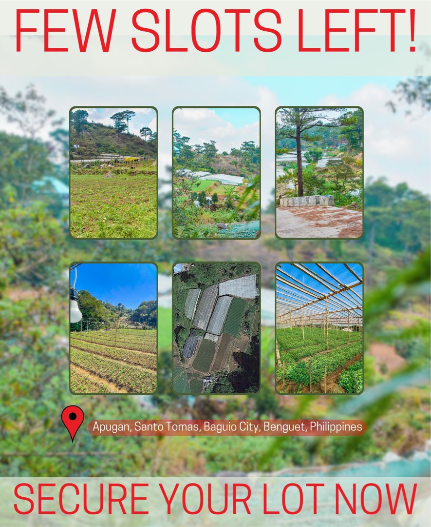 BAGUIO INSTALLMENT LOT on Carousell