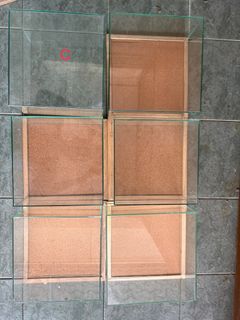 (Category: ) located in . Submitted by sharkboy1501 (Listing ID 1231811956, Image 1). Description: .