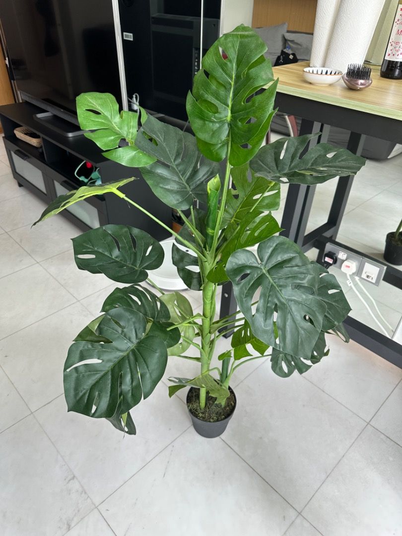 Fake Monstera Plant, Furniture & Home Living, Gardening, Pots