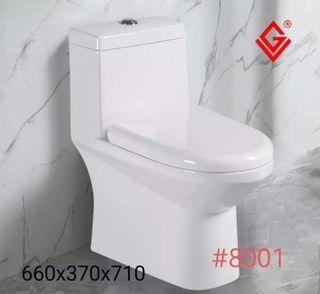 GV 8001 One Piece Water Closet Toilet Bowl