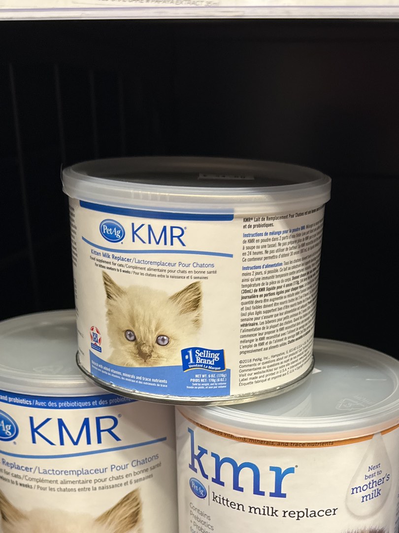 Kitten milk replacement, Pet Supplies, Pet Food on Carousell