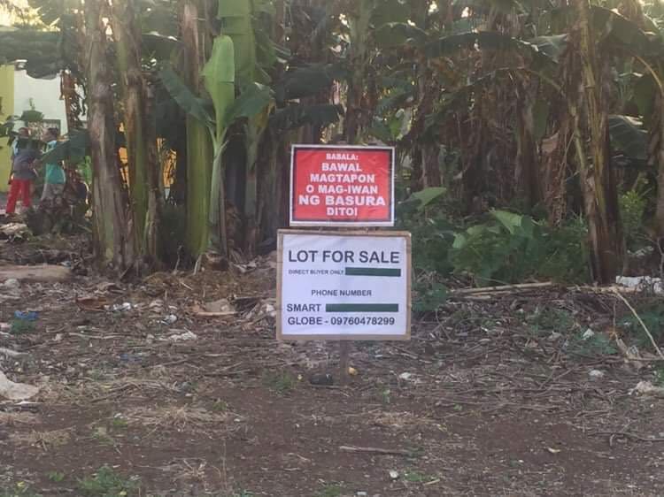 Naga City LOT for Sale Parkview Village, San Felipe, Property, For