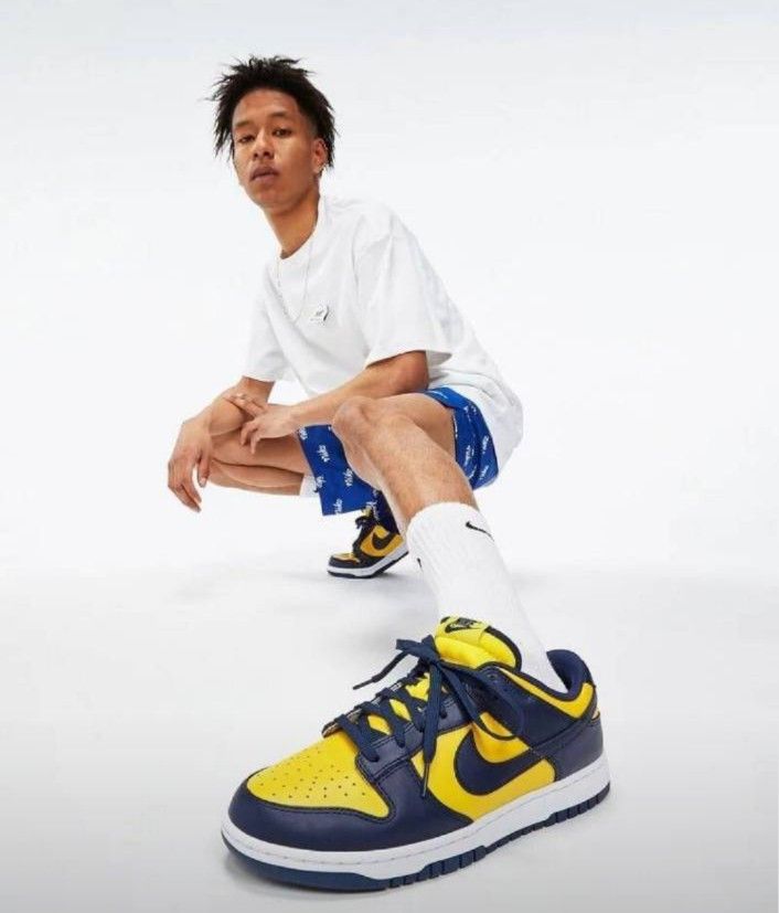 Nike Dunk Low Michigan 27.5cm DD1391-700-