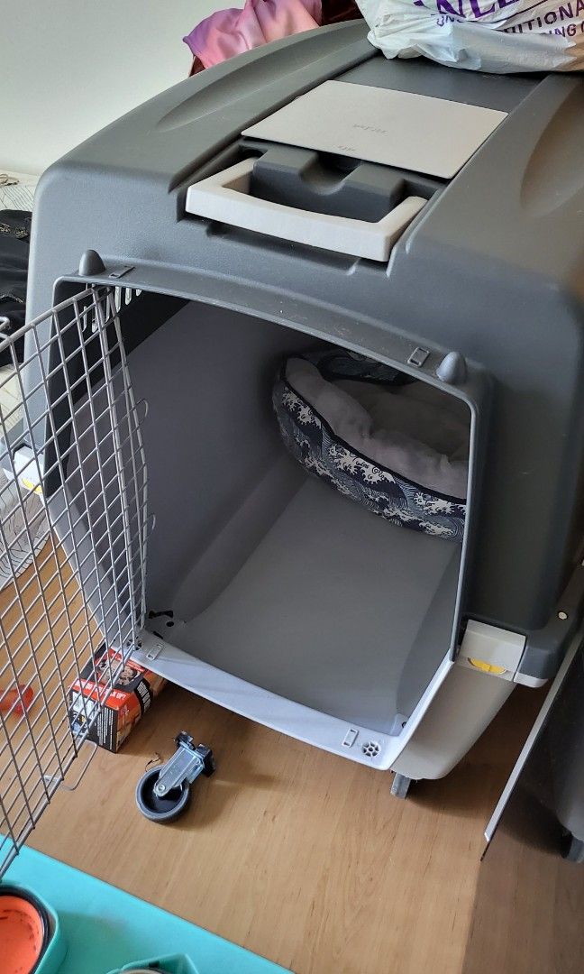 Stefanplast Gulliver 5 Pet Carrier with Wheels, Pet Supplies, Homes