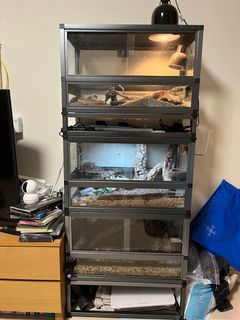 （分類：）位於 。 由 echo2301 提交（商品編號 1231855616，圖片 1）。簡介： 。