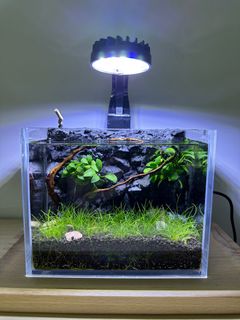 （分類：）位於 。 由 supertank10 提交（商品編號 1232052983，圖片 1）。簡介： 。