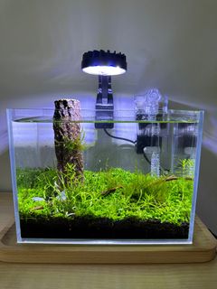 （分類：）位於 。 由 supertank10 提交（商品編號 1232056799，圖片 1）。簡介： 。