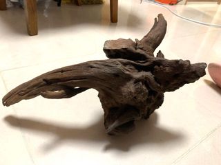 （分類：）位於 。 由 lb_2021 提交（商品編號 1232098413，圖片 1）。簡介： 。