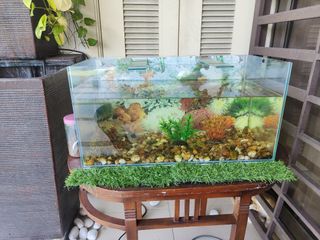 (Category: ) located in . Submitted by hhfiz88 (Listing ID 1232091952, Image 1). Description: .