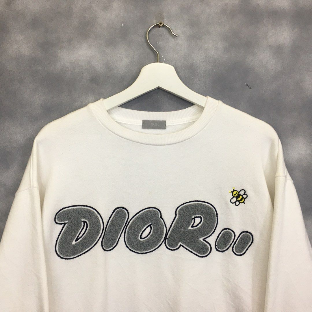 Kaws hotsell dior hoodie