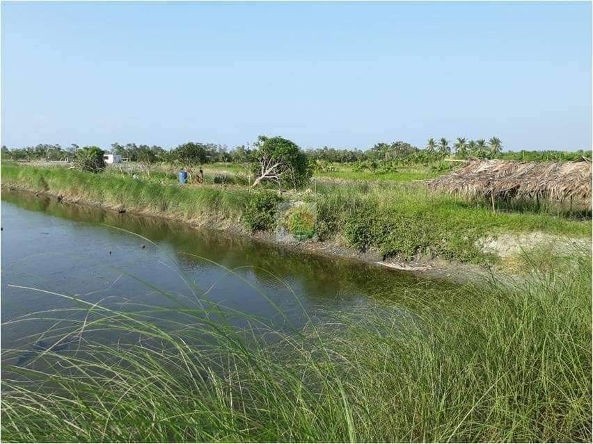 Fish Farm For Sale on Carousell