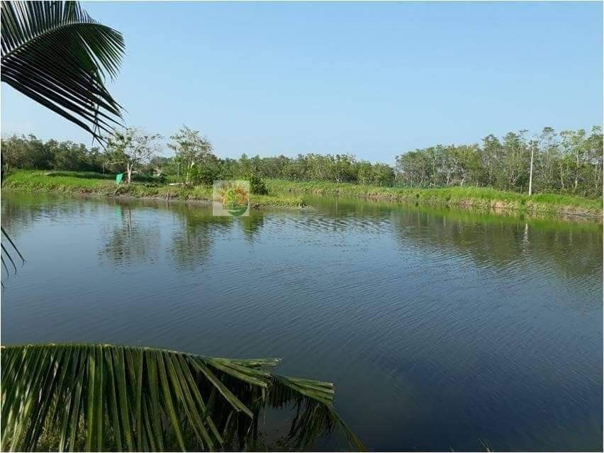 Fish Farm For Sale on Carousell