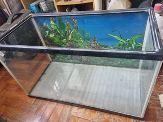 (Category: ) located in . Submitted by learner13 (Listing ID 1232138066, Image 1). Description: .