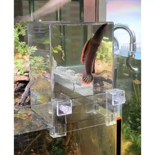 (Category: ) located in . Submitted by muhdsuffryelfean (Listing ID 1231963936, Image 1). Description: .