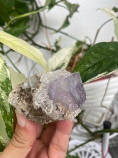 (Category: ) located in . Submitted by auralite2three (Listing ID 1232008558, Image 1). Description: .