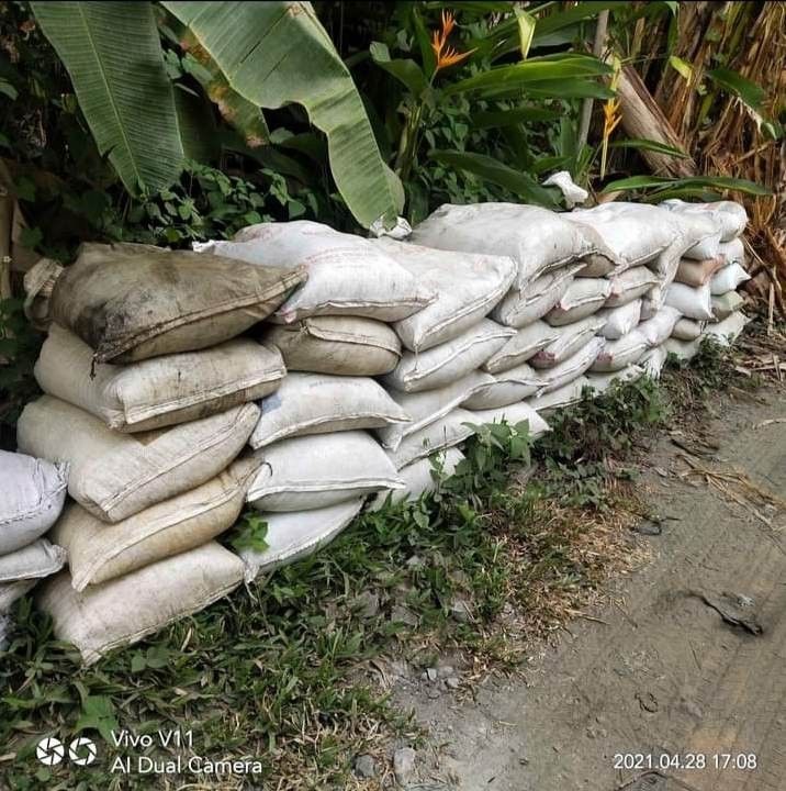 Frog grass,carabao grass,blue grass, Furniture & Home Living, Gardening ...