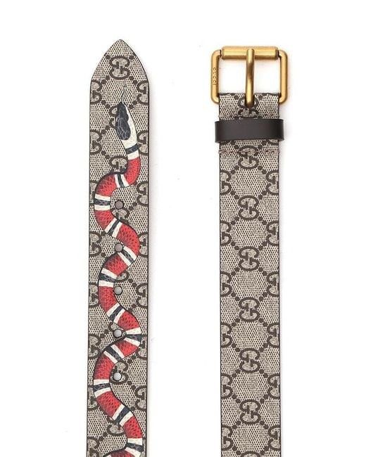 Gg supreme belt deals with kingsnake print