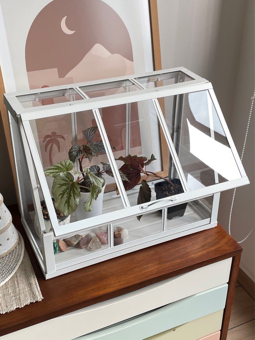 IKEA Greenhouse, White, Furniture & Home Living, Gardening, Pots