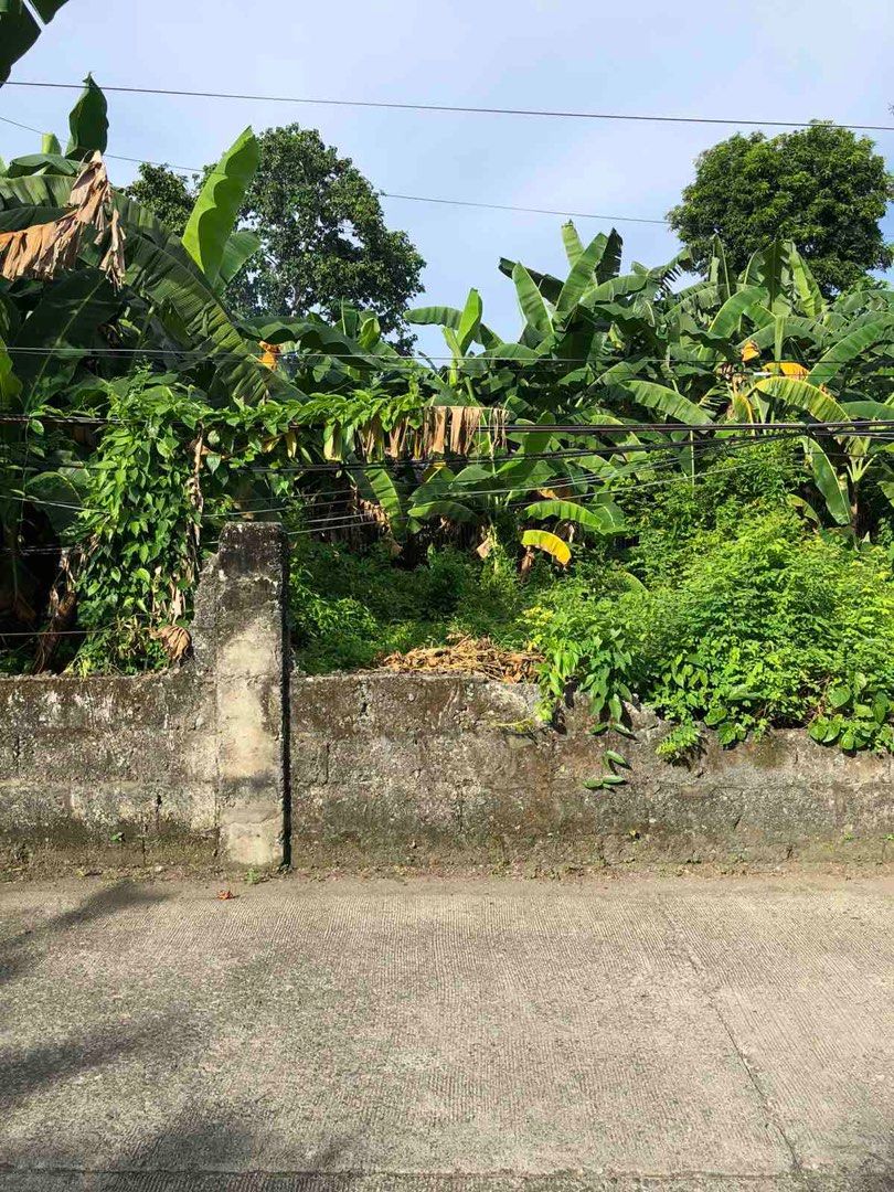 Kalibo Lot For Sale on Carousell