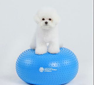 （分類：）位於 。 由 tobuygoodstuff 提交（商品編號 1231995656，圖片 1）。簡介： 。