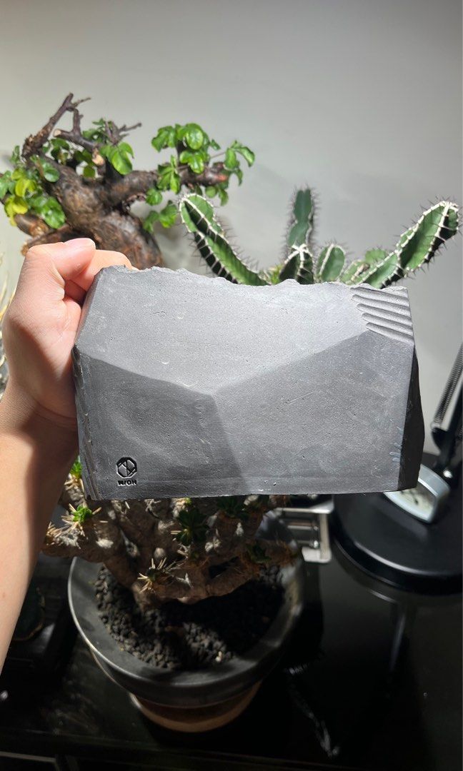 限定］BOTANIZE × N/OH 澪標S Rich Black 植木鉢 | pybli.com.my