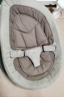 Nuna Leaf Curve Baby Seat