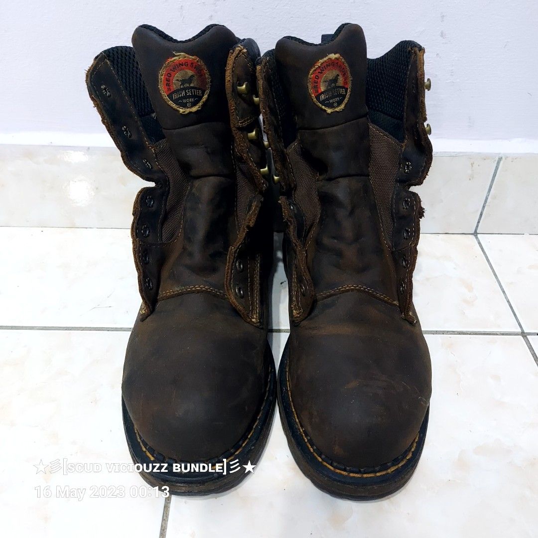 Irish shop setter 83801