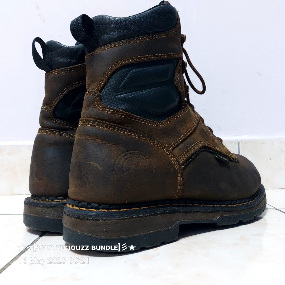 Irish setter 83801 top
