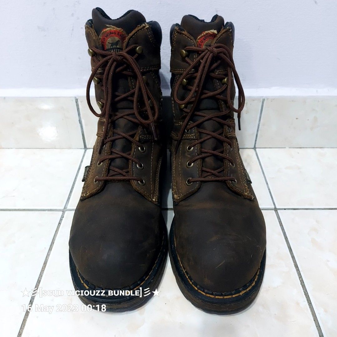 Irish shop setter 83801