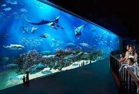 Sea Aquarium E Tickets