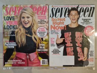 Seventeen Magazine bundle