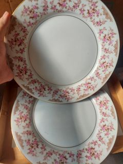 Vintage Noritake RC Dinner Plates