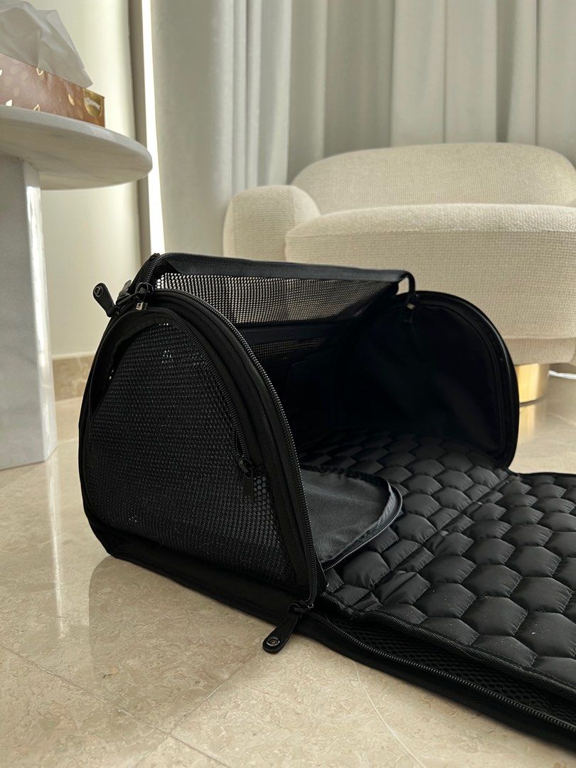 Wild One Airline Approved Pet Carrier, Pet Supplies, Homes & Other Pet