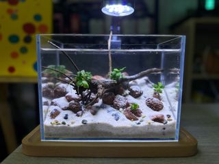 （分類：）位於 。 由 supertank10 提交（商品編號 1232204828，圖片 1）。簡介： 。