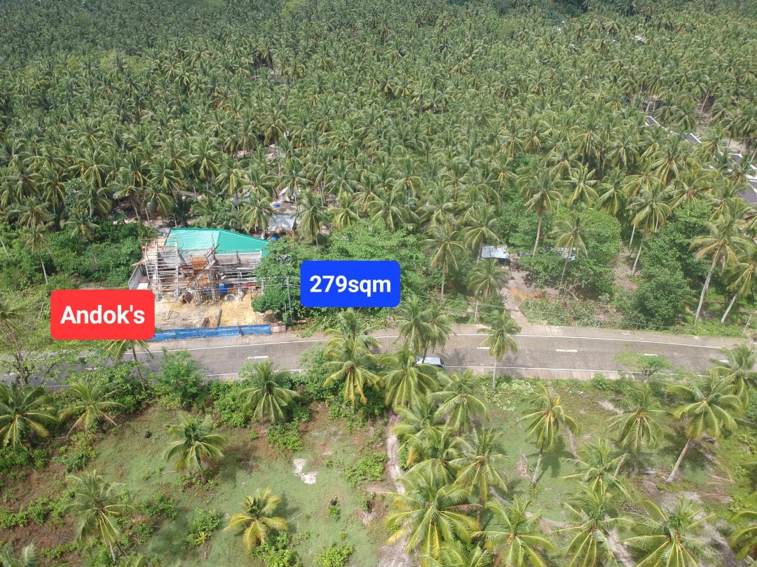 279sqm Commercial Lot in General Luna Siargao, Property, For Sale, Lot