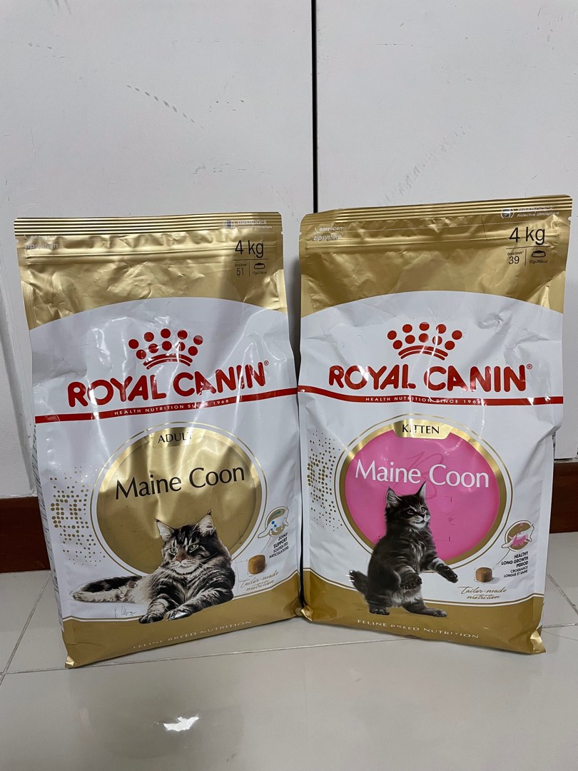 FREE DELIVERY Royal canin Maine Coon 4kg kitten maine coon