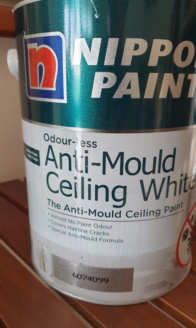 Anti mould ceiling white paint, Everything Else on Carousell