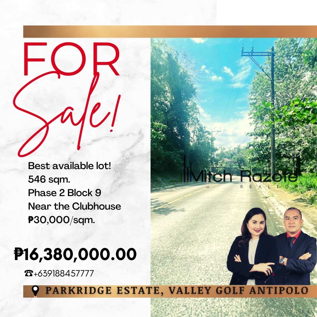 Best Available 546 sqm. Prime Lot For Sale in Parkridge Estate, Valley